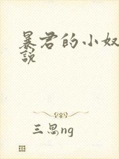 暴君的小奴妻小说