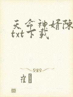 天命神婿陈黄皮txt下载