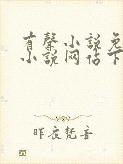 有声小说免费听小说网站下载封面