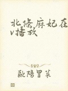 北条麻妃在线av播放