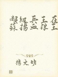 超级兵王在都市苏扬血狼王