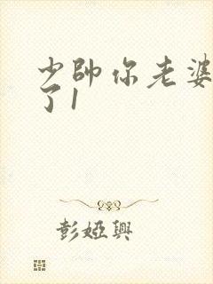 少帅你老婆又跑了1