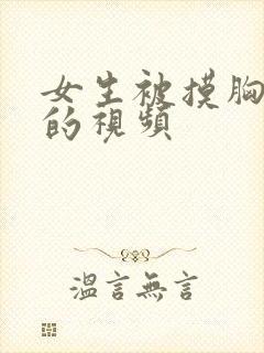 女生被摸胸和c的视频