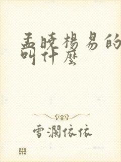 孟晓杨易的小说叫什么