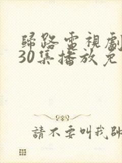 归路电视剧全集30集播放免费观看