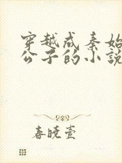 穿越成秦始皇二公子的小说