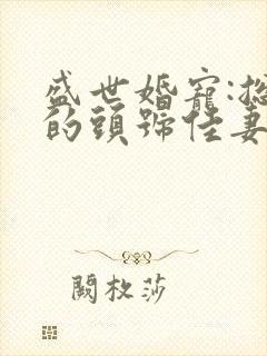 盛世婚宠:总裁的头号佳妻 小说