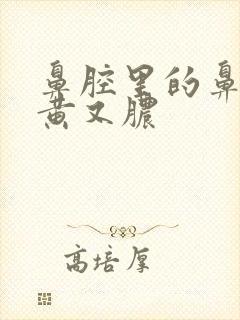 鼻腔里的鼻涕又黄又脓