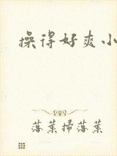 操得好爽小说封面