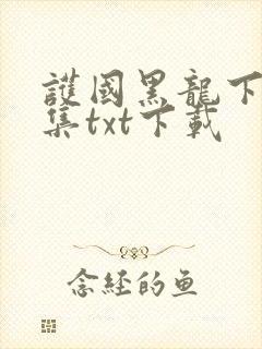 护国黑龙下载全集txt下载封面