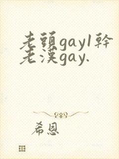 老头gay1干老汉gay.封面