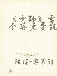 《少帅》电视剧全集免费观看高清