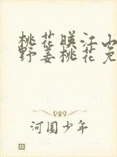 桃花映江山沈在野姜桃花免费阅读