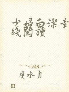 少妇白洁章节在线阅读