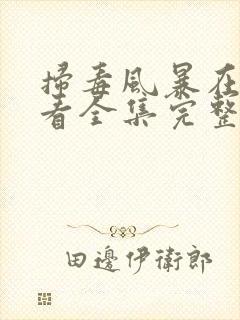 扫毒风暴在线观看全集完整版高清