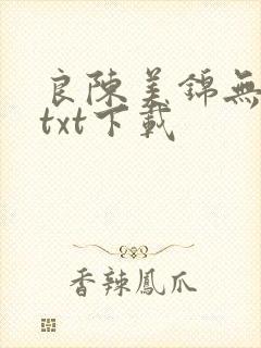 良陈美锦无删减txt下载封面