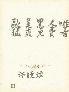 欧美黑人啪啪大猛爽免费看封面