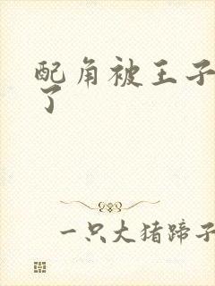 配角被王子宠爱了封面