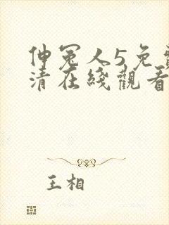伸冤人5免费高清在线观看完整版