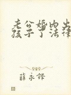 老公婚内出轨有孩子了法律怎么处理