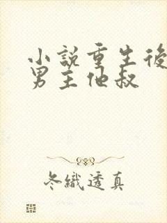 小说重生后嫁给男主他叔