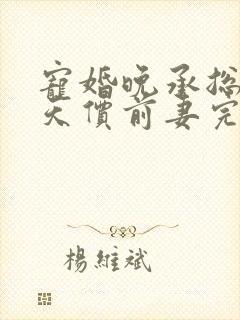 宠婚晚承总裁的天价前妻完整版