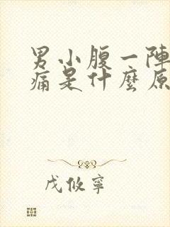 男小腹一阵一阵痛是什么原因