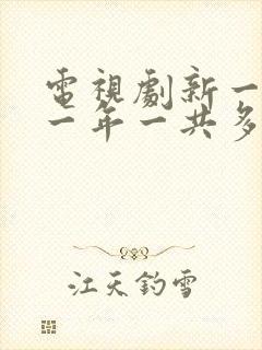 电视剧新一年又一年一共多少集