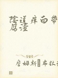 阴道痒白带呈豆腐渣