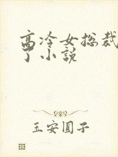 高冷女总裁后悔了小说