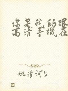 你是我的眼全集高清手机在线观看