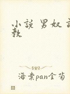 小说 男奴 调教封面