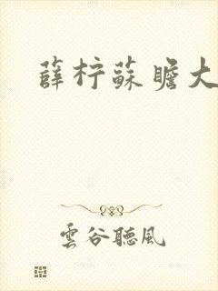 薛柠苏瞻大结局