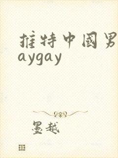 推特中国男男gaygay