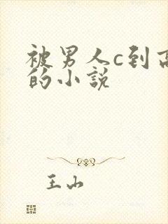 被男人c到高潮的小说