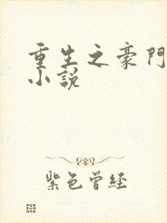 重生之豪门宠婚小说封面