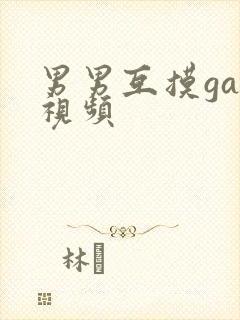 男男互摸gay视频