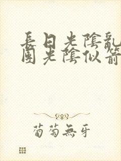 长日光阴乱作一团光阴似箭笔趣阁相似封面