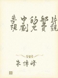 梦中的那片海电视剧免费观看全集完整版