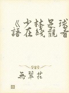 《少林足球》国语在线观看