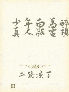 少年白马醉春风真人版电视剧17集封面