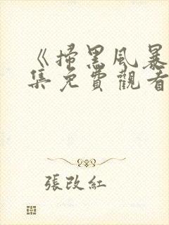 《扫黑风暴》全集免费观看