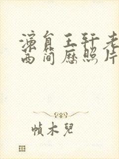 演员王轩老婆周茜简历照片