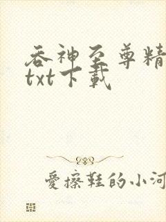吞神至尊精校版txt下载