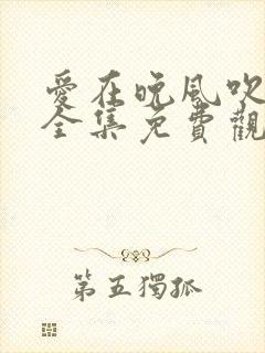 爱在晚风吹短剧全集免费观看封面