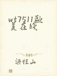 wt7511欧美在线