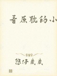 看原耽的小说