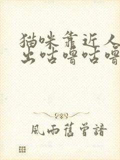 猫咪靠近人就发出咕噜咕噜的声音