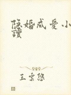 隐婚成爱小说阅读封面