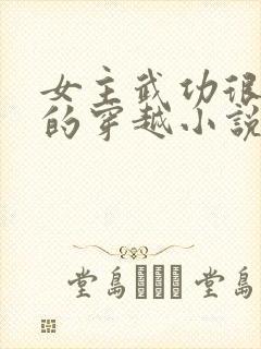 女主武功很厉害的穿越小说封面